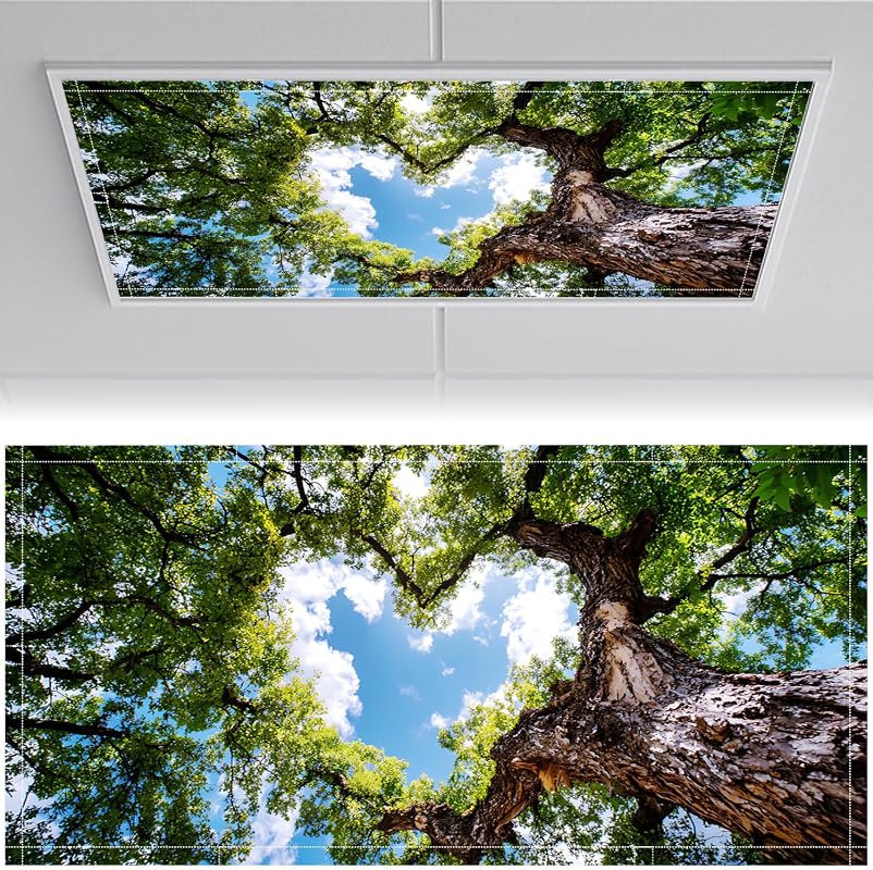 2x4ft Magnetic Ceiling Light Covers