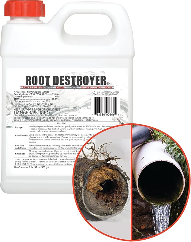 Best Pipe Root Killers